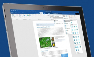 Trabajo Práctico Microsoft Word (1° Año)